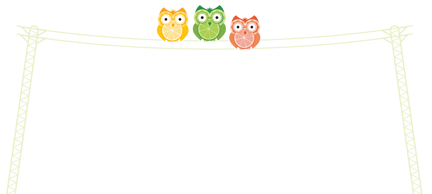 Three owls